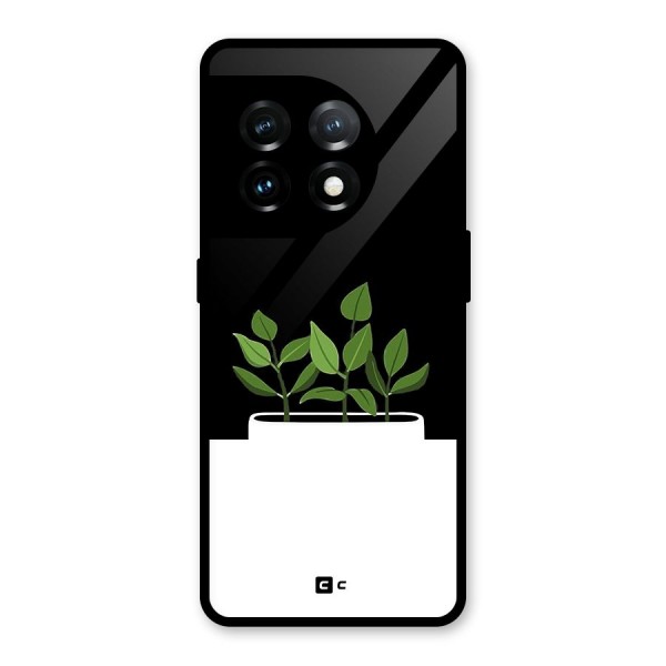 Beautiful Plant Pot Minimalistic Glass Back Case for OnePlus 11