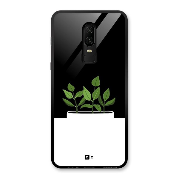 Beautiful Plant Pot Minimalistic Glass Back Case for OnePlus 6