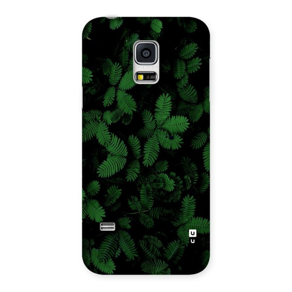 Beautiful Touch Me Not Back Case for Galaxy S5 Mini