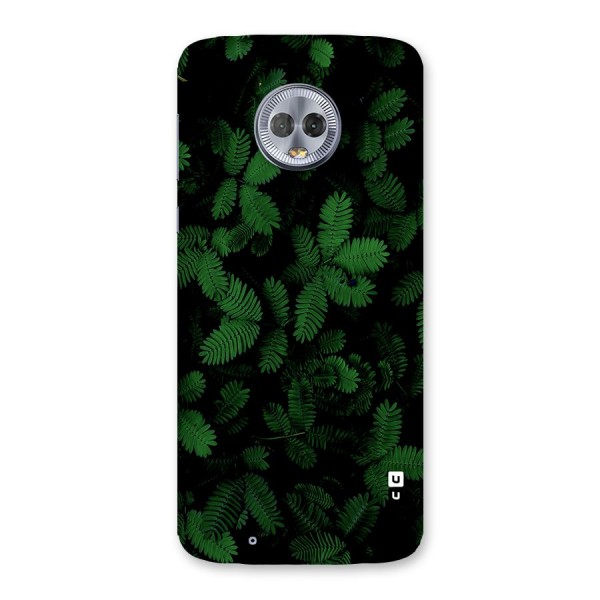 Beautiful Touch Me Not Back Case for Moto G6