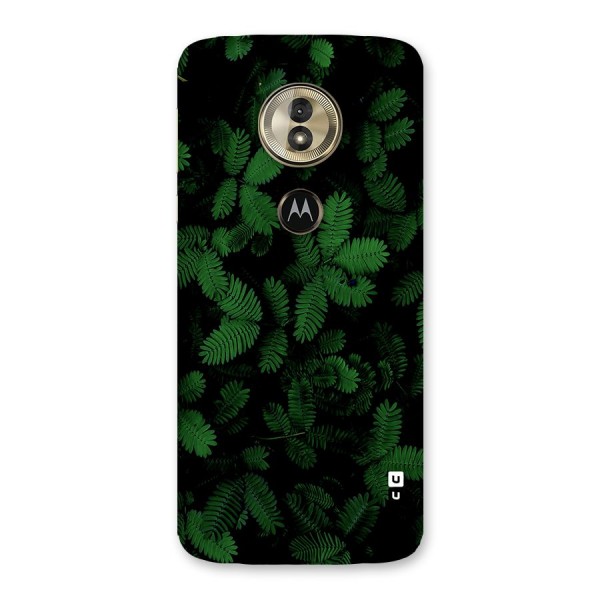 Beautiful Touch Me Not Back Case for Moto G6 Play