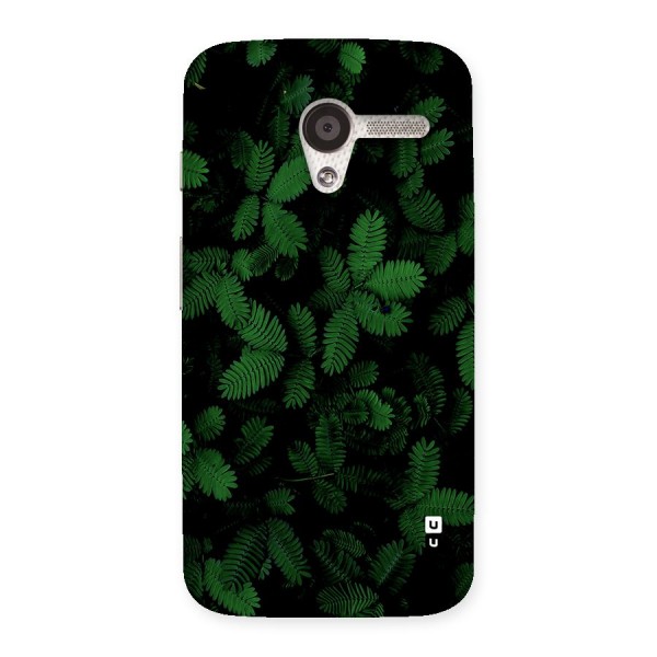 Beautiful Touch Me Not Back Case for Moto X