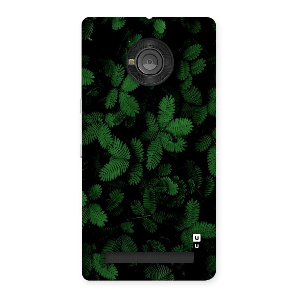 Beautiful Touch Me Not Back Case for Yuphoria