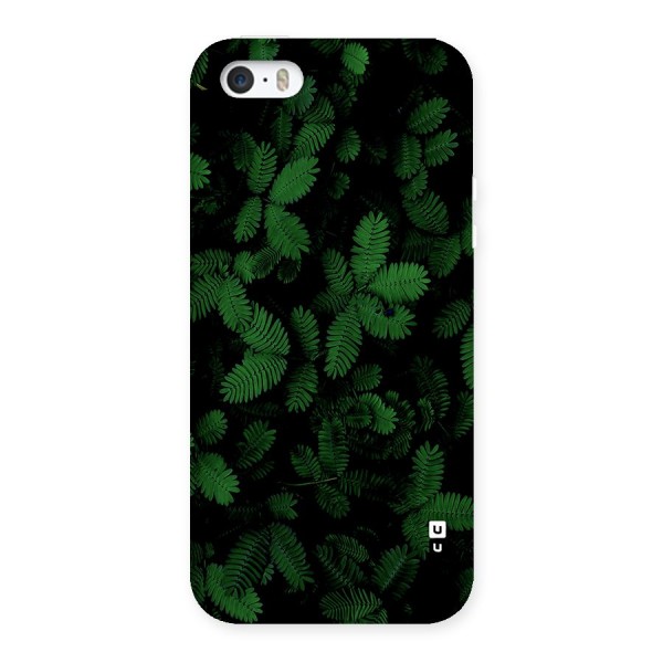 Beautiful Touch Me Not Back Case for iPhone 5 5s