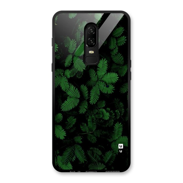 Beautiful Touch Me Not Glass Back Case for OnePlus 6