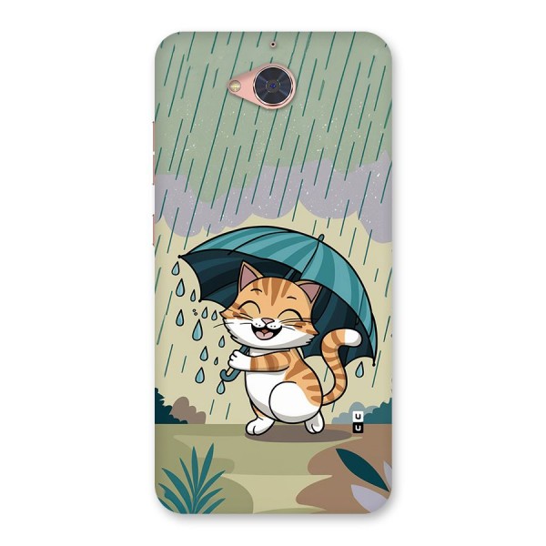 Cat In Rain Back Case for Gionee S6 Pro