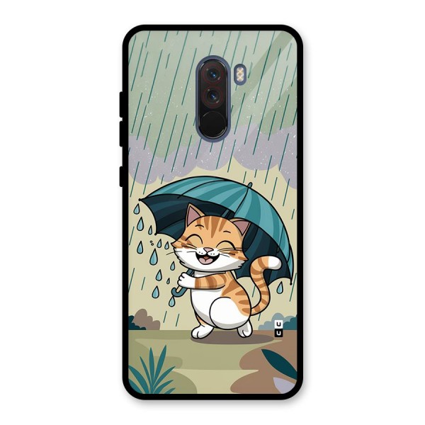 Cat In Rain Glass Back Case for Poco F1