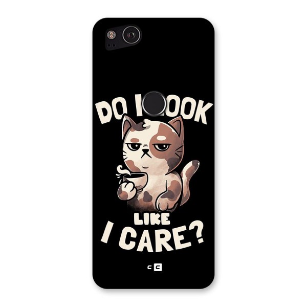 Cat Look Like Care Back Case for Google Pixel 2