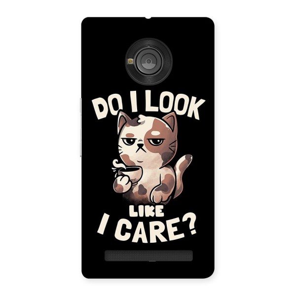 Cat Look Like Care Back Case for Yu Yuphoria