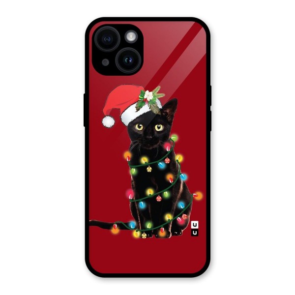 Christmas Cap Cat Glass Back Case for iPhone 14