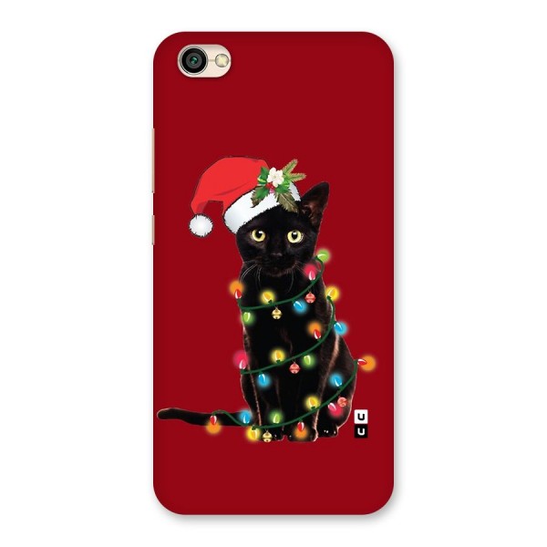 Christmas Cap Cute Cat Back Case for Redmi Y1 Lite