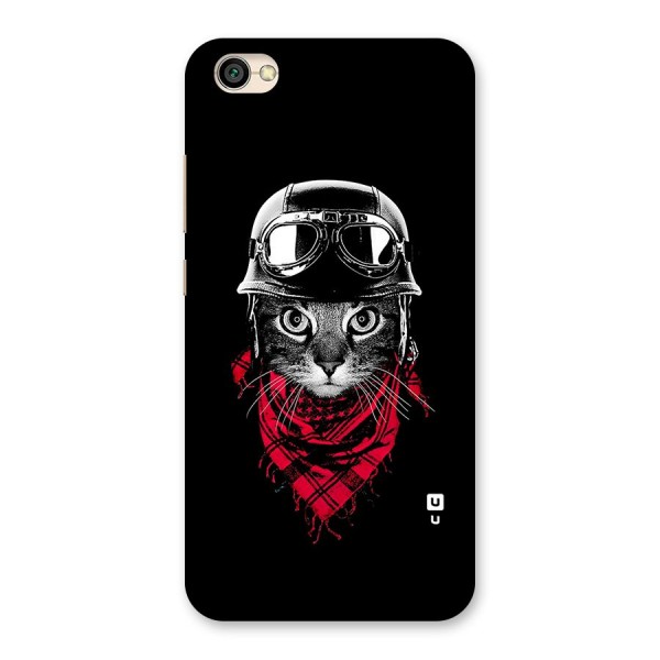 Cool Biker Cat Back Case for Redmi Y1 Lite