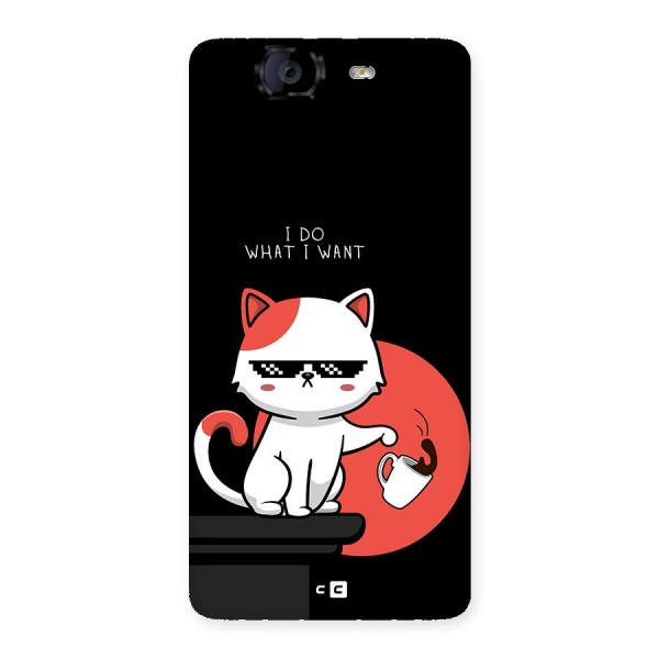 Cute Attitude Cat Back Case for Canvas Knight A350