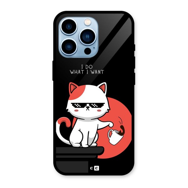 Cute Attitude Cat Glass Back Case for iPhone 13 Pro