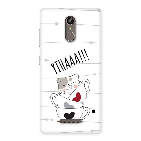 Cute Cat Cup Back Case for Gionee S6s