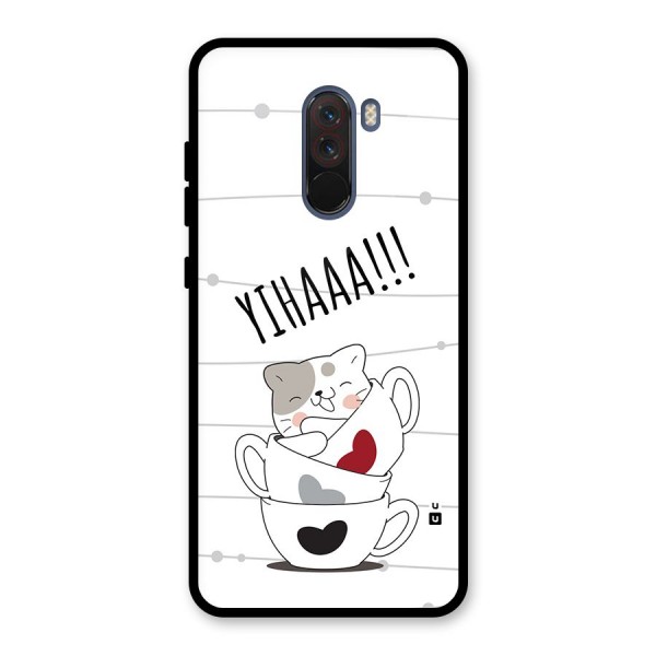 Cute Cat Cup Glass Back Case for Poco F1