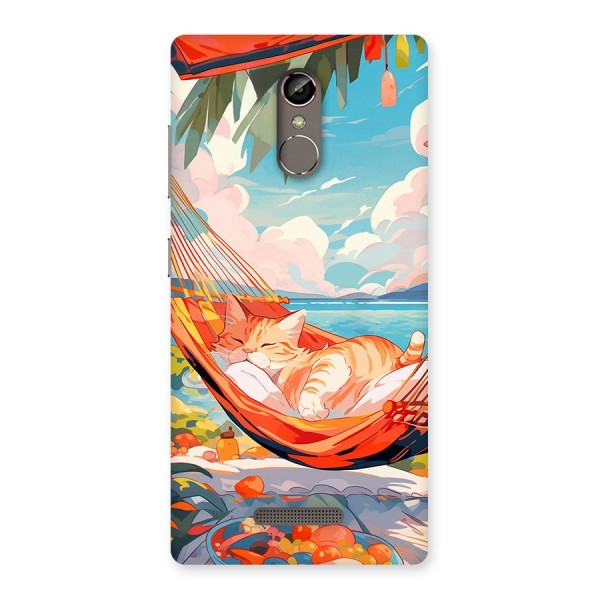 Cute Cat On Beach Back Case for Gionee S6s