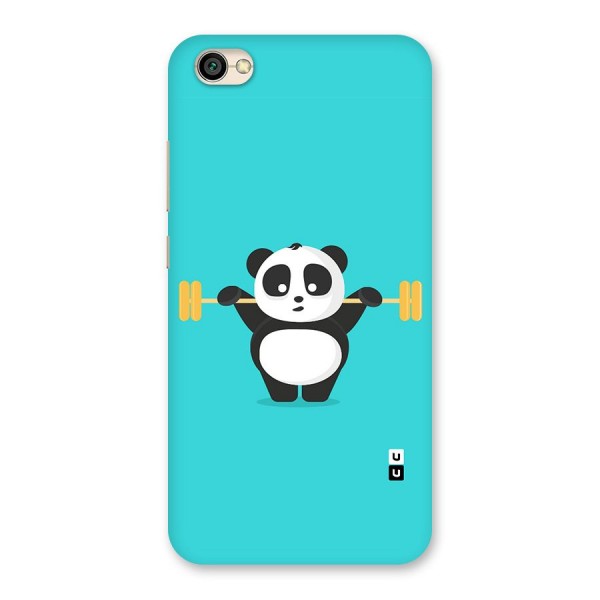 Cute Weightlifting Panda Back Case for Redmi Y1 Lite