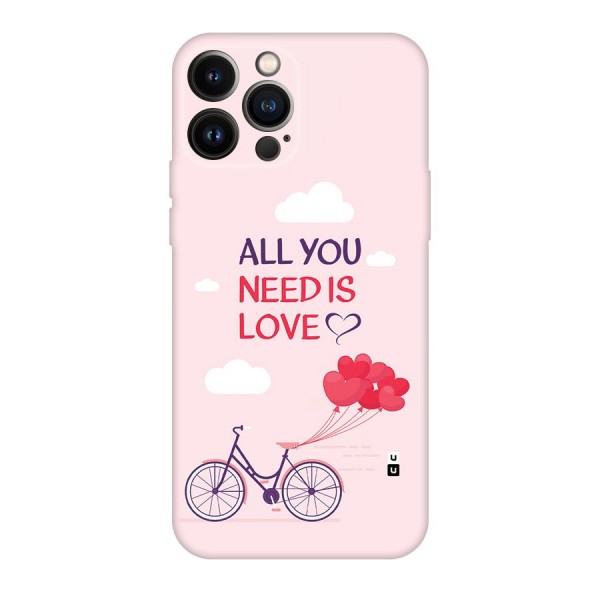 Cycle Of Love Back Case for iPhone 13 Pro Max