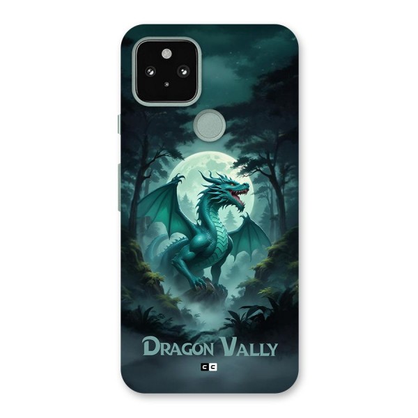 Dragon Valley Back Case for Google Pixel 5