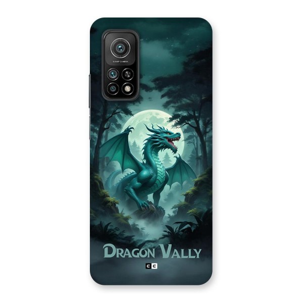 Dragon Valley Back Case for Mi 10T 5G