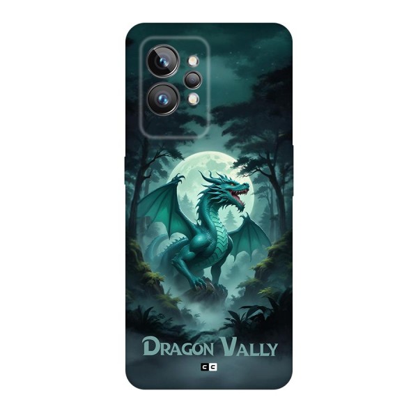 Dragon Valley Back Case for Realme GT2 Pro