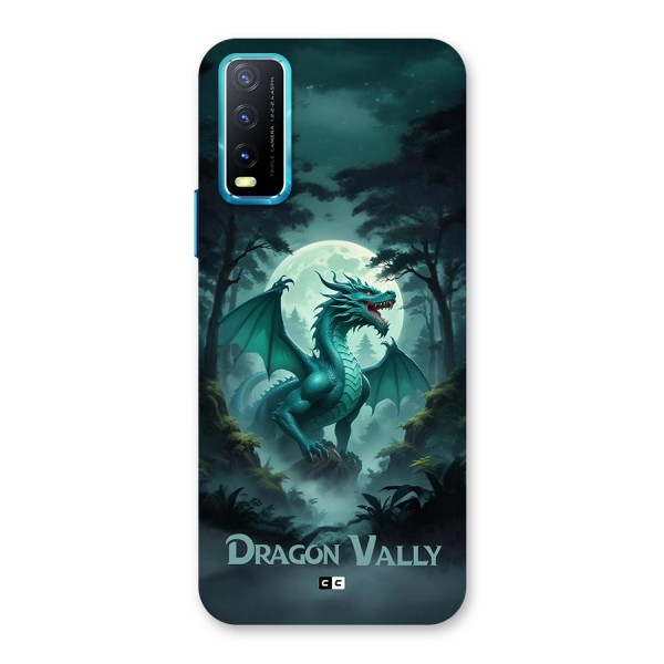 Dragon Valley Back Case for Vivo Y12s