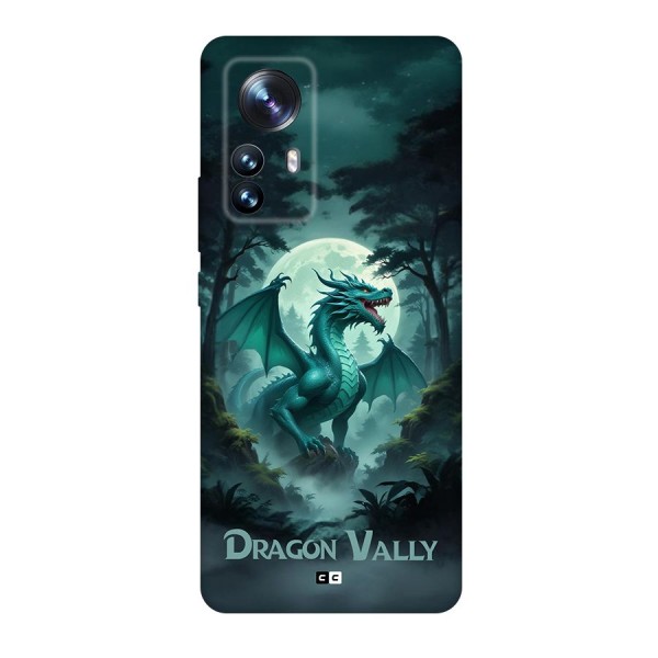 Dragon Valley Back Case for Xiaomi 12 Pro