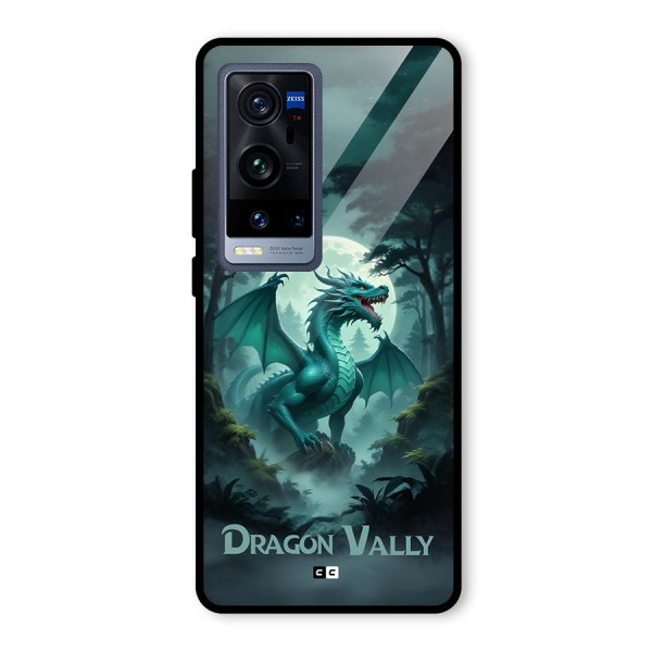 Dragon Valley Glass Back Case for Vivo X60 Pro Plus