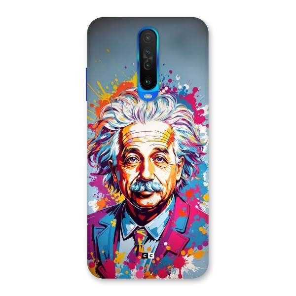 Einstein illustration Back Case for Poco X2