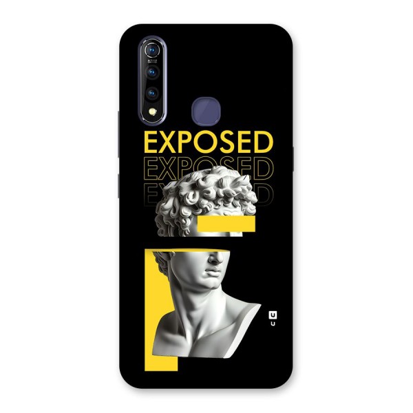 Exposed Sculpture Back Case for Vivo Z1 Pro