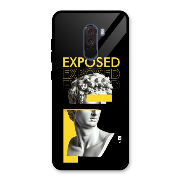 Exposed Sculpture Glass Back Case for Poco F1