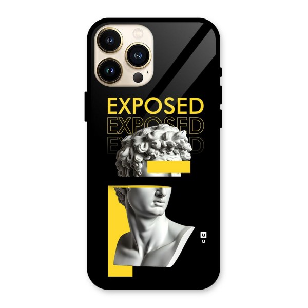 Exposed Sculpture Glass Back Case for iPhone 13 Pro Max