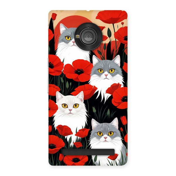 Floral Cat Back Case for Yuphoria