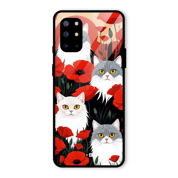 Floral Cat Glass Back Case for OnePlus 8T