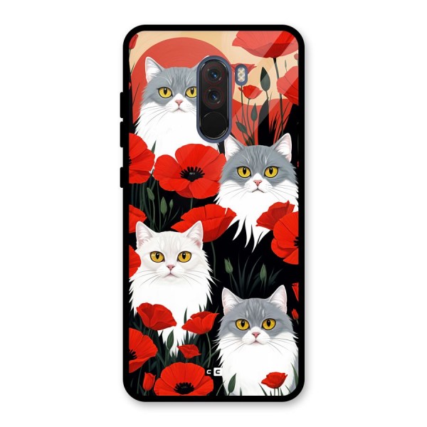 Floral Cat Glass Back Case for Poco F1