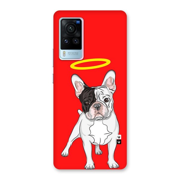 French Cute Angel Doggo Glass Back Case for Vivo X60 Pro