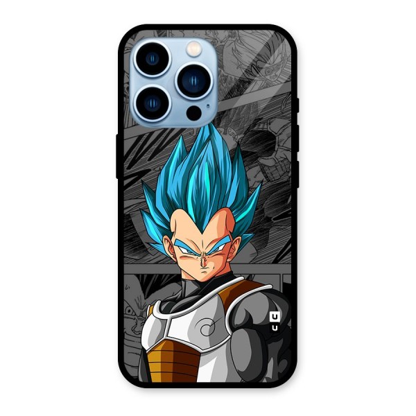 Goku Vegeta Art Glass Back Case for iPhone 13 Pro