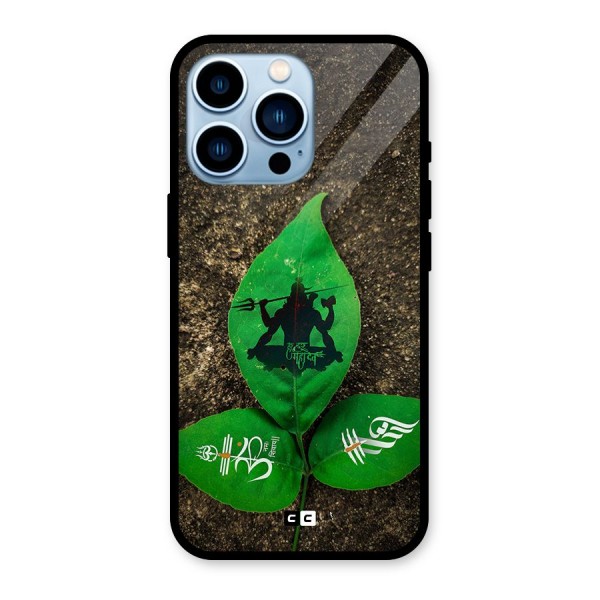 Green Leaf Shiva Glass Back Case for iPhone 13 Pro