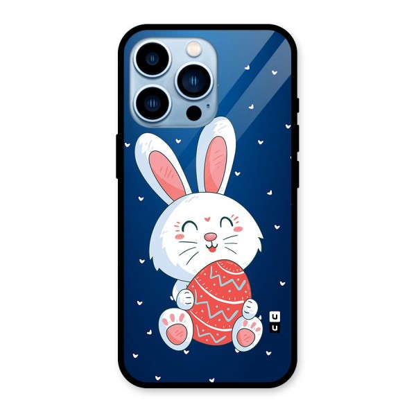 Happy Festive Bunny Glass Back Case for iPhone 13 Pro