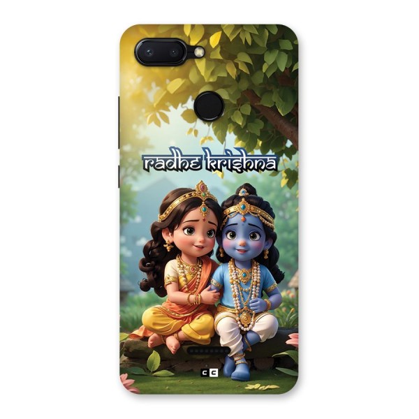 Hare Radhe Krishna Back Case for Redmi 6