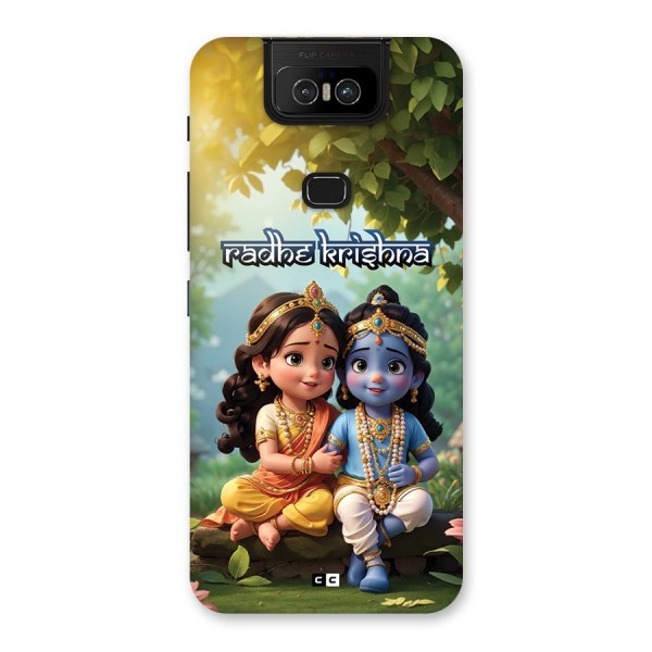 Hare Radhe Krishna Back Case for Zenfone 6z