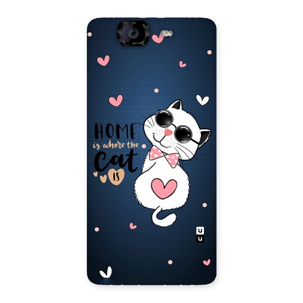 Home Where Cat Back Case for Canvas Knight A350