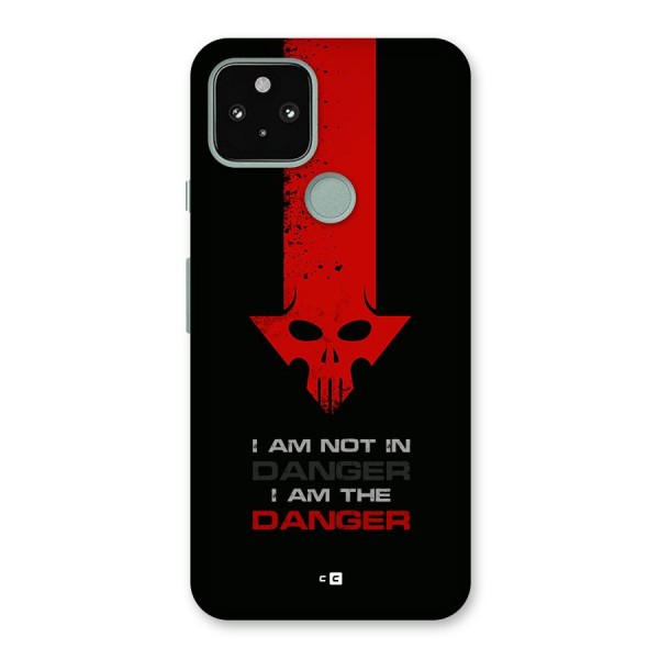 I Am Danger Back Case for Google Pixel 5