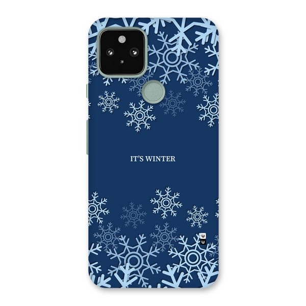 Its Winter Back Case for Google Pixel 5