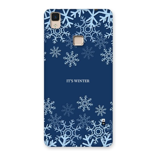 Its Winter Back Case for V3 Max