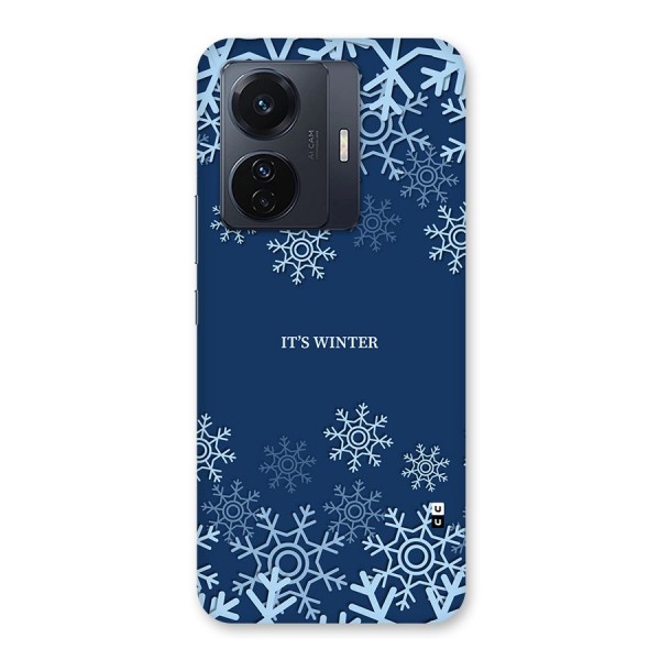 Its Winter Back Case for Vivo iQOO Z6 Pro