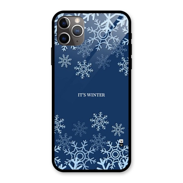 Its Winter Glass Back Case for iPhone 11 Pro Max