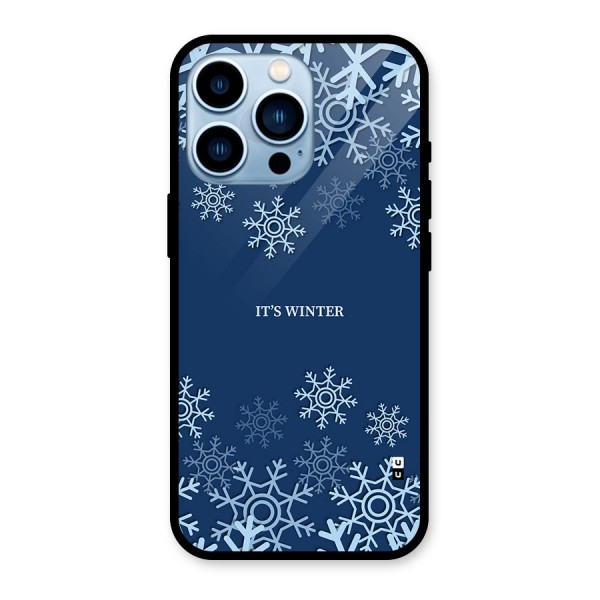 Its Winter Glass Back Case for iPhone 13 Pro