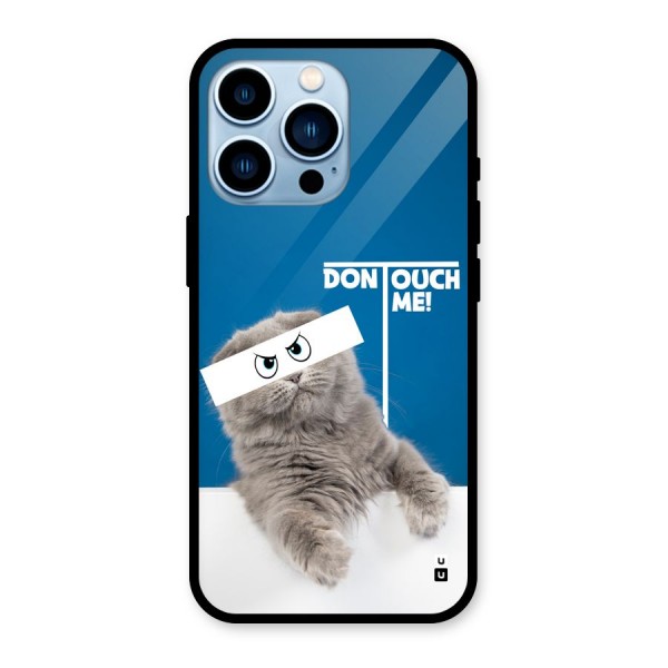 Kitty Dont Touch Glass Back Case for iPhone 13 Pro
